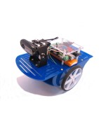 Robots et Expériences didactiques